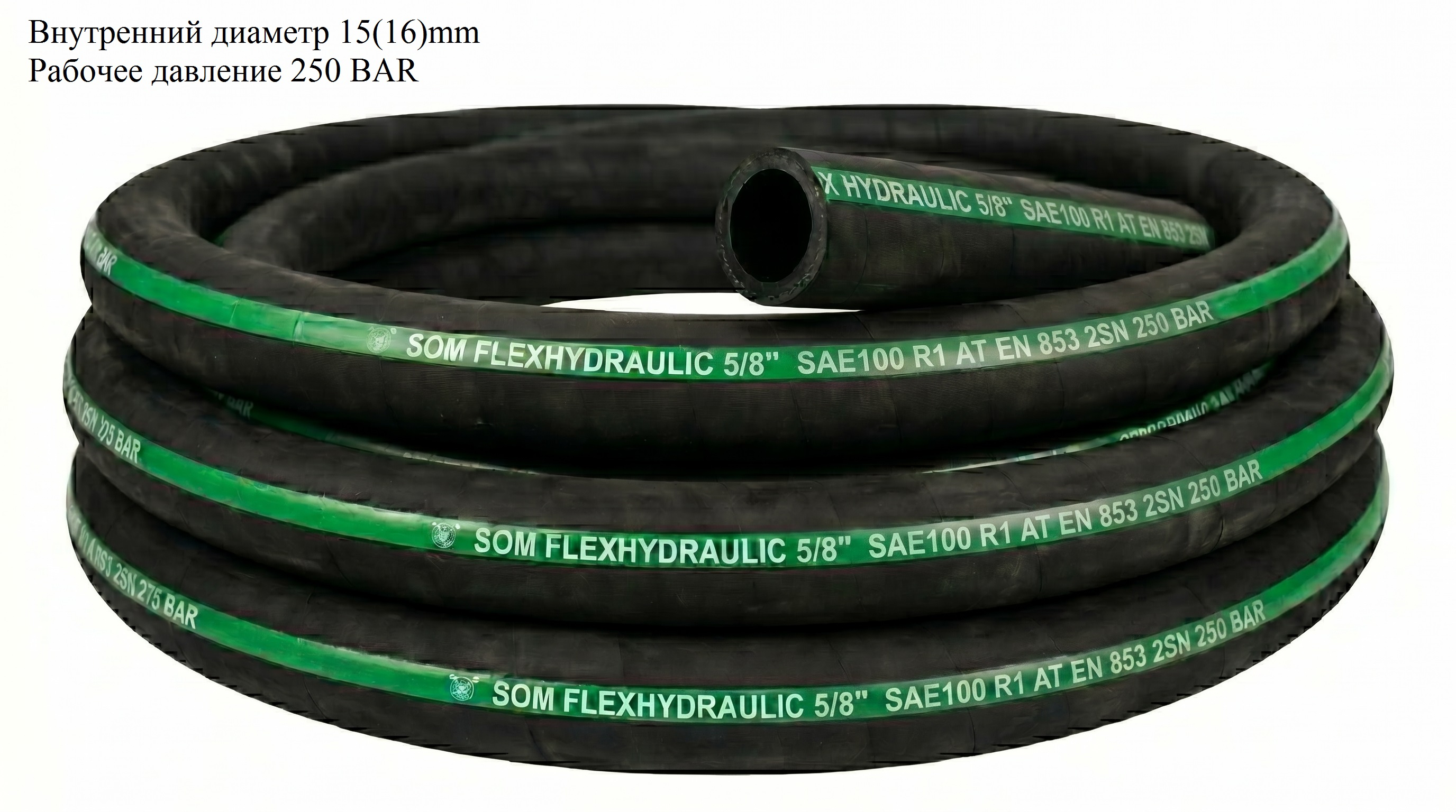 1010-00-10